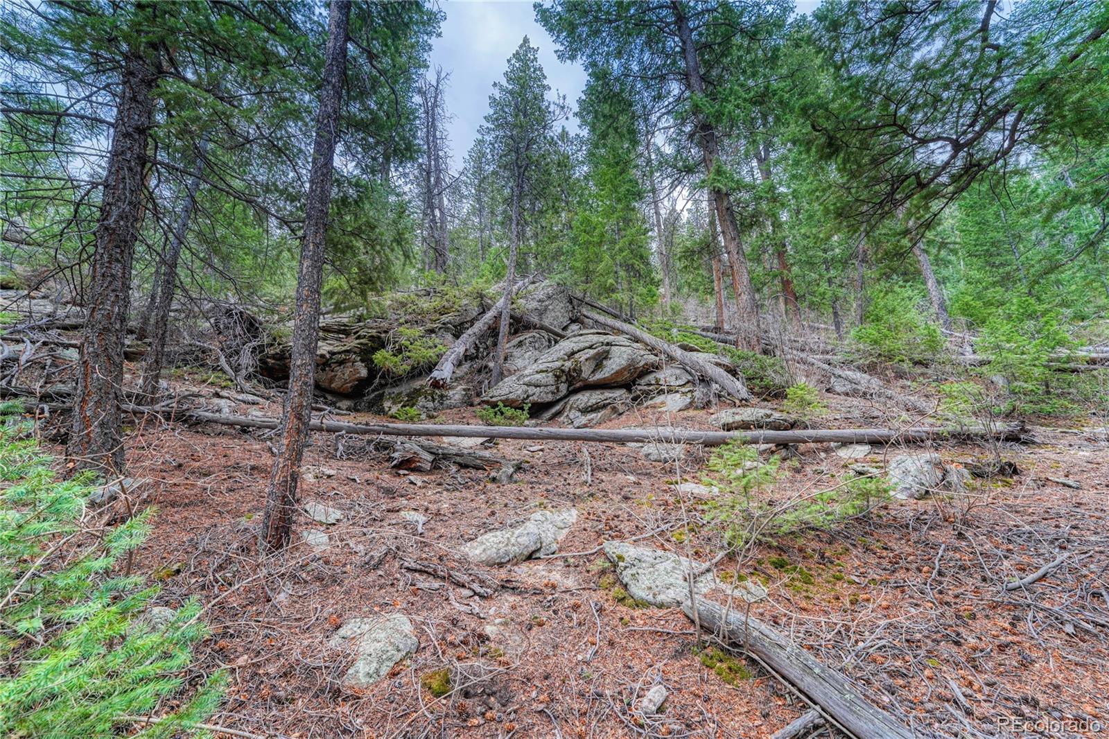 33864 Bergen View Trail Evergreen CO 80439