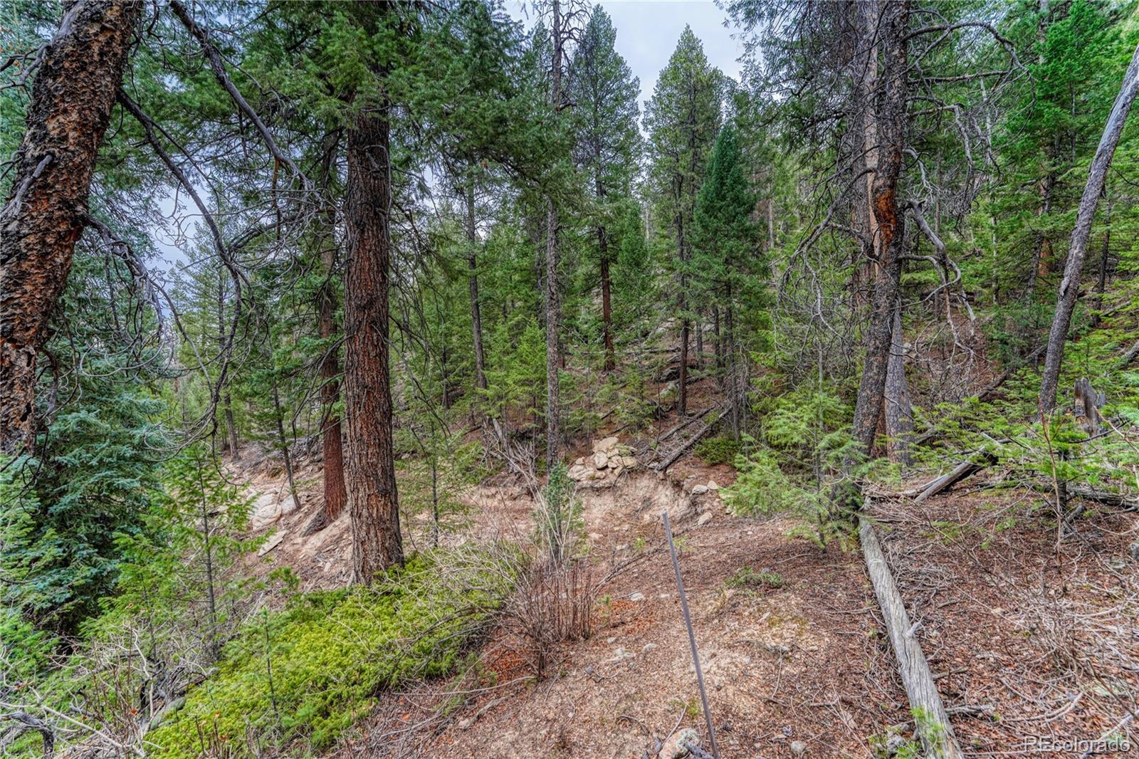 33864 Bergen View Trail Evergreen CO 80439