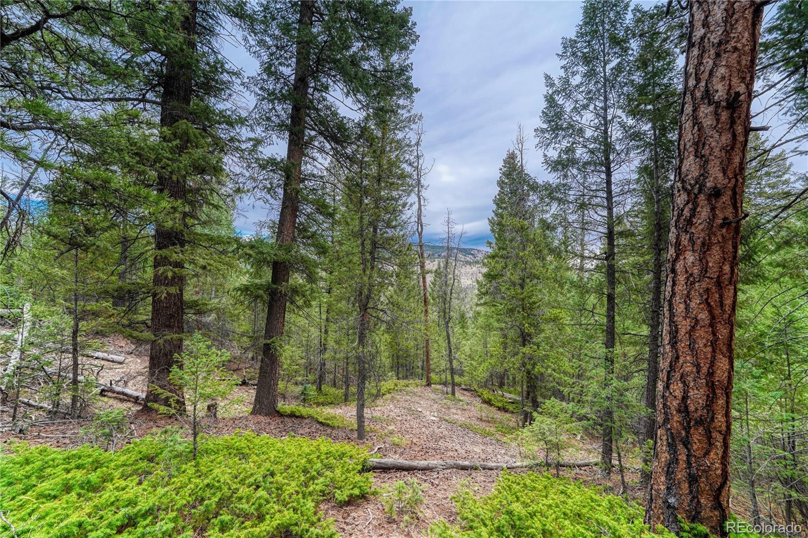 33864 Bergen View Trail Evergreen CO 80439