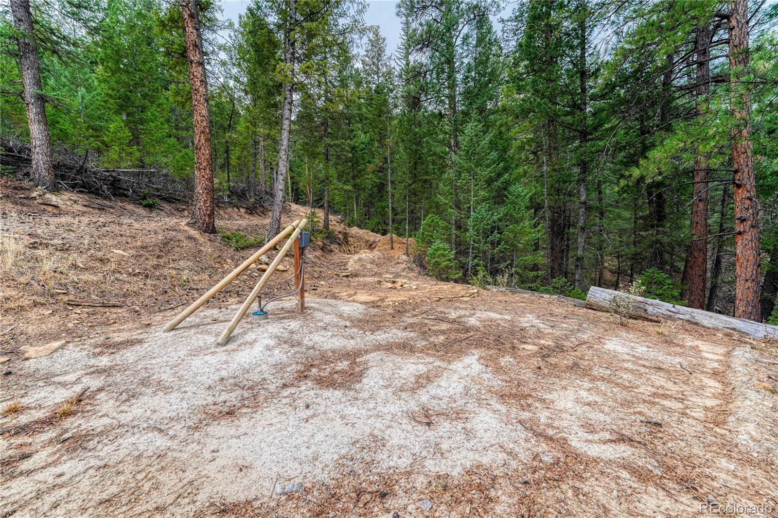 33864 Bergen View Trail Evergreen CO 80439