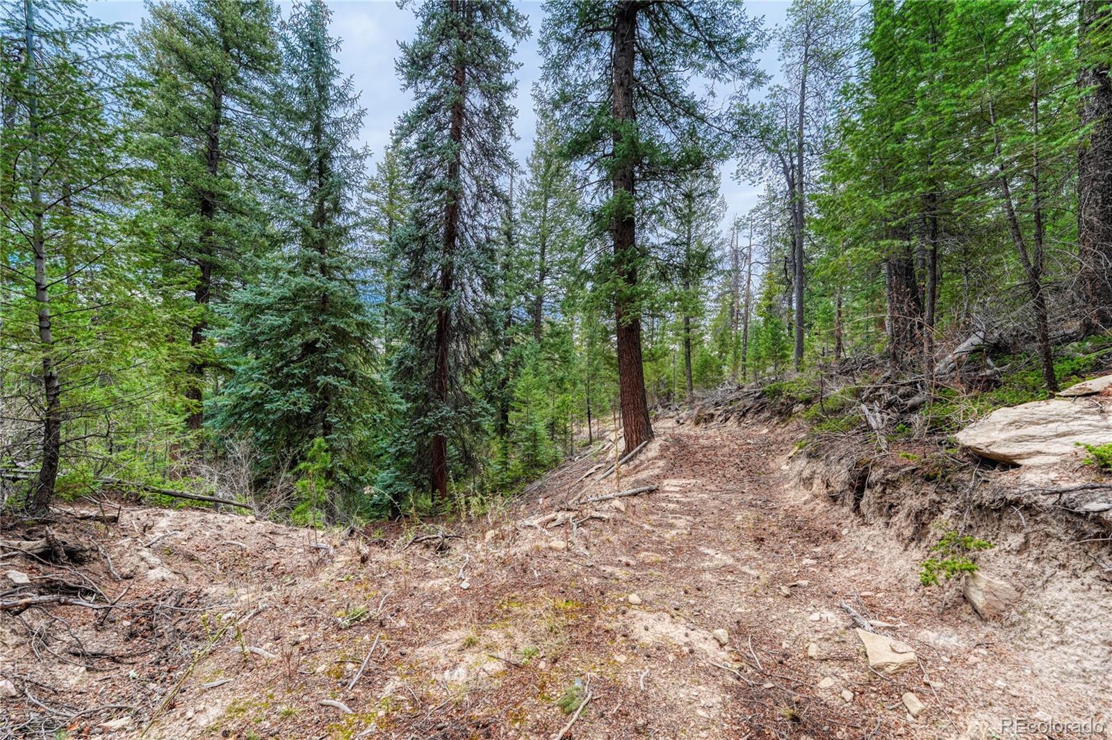 33864 Bergen View Trail Evergreen CO 80439
