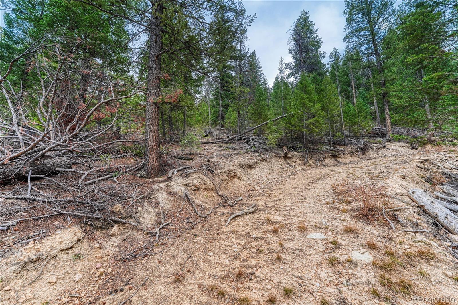 33864 Bergen View Trail Evergreen CO 80439