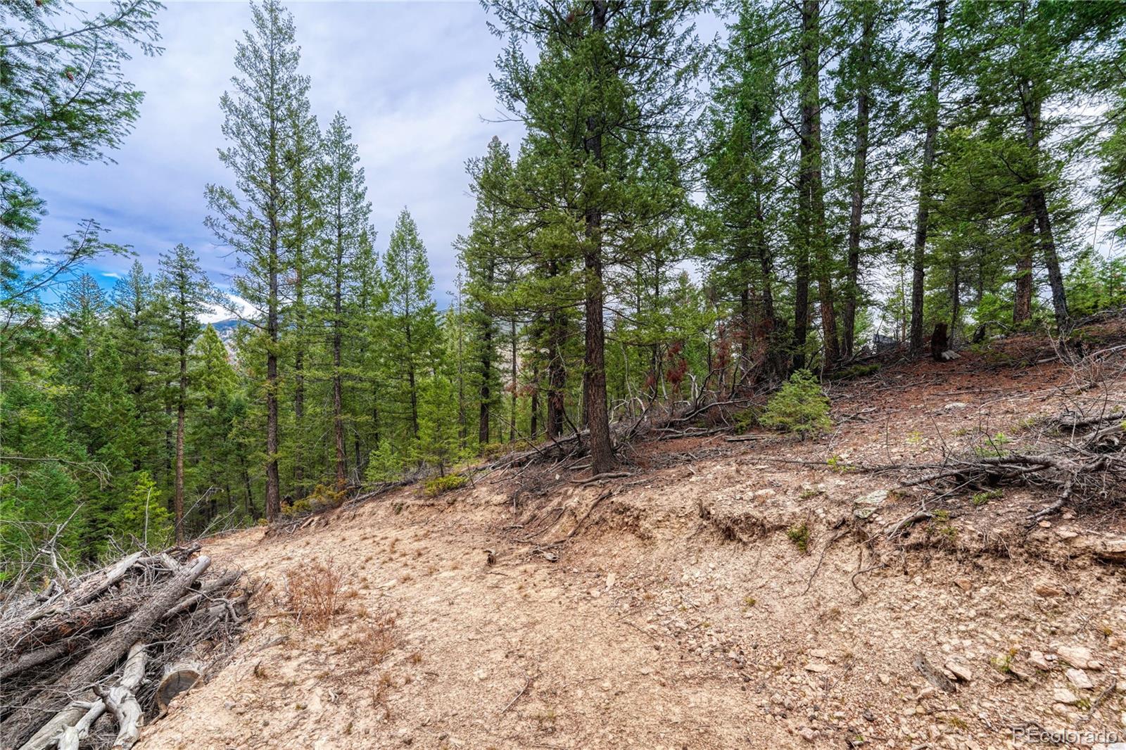 33864 Bergen View Trail Evergreen CO 80439