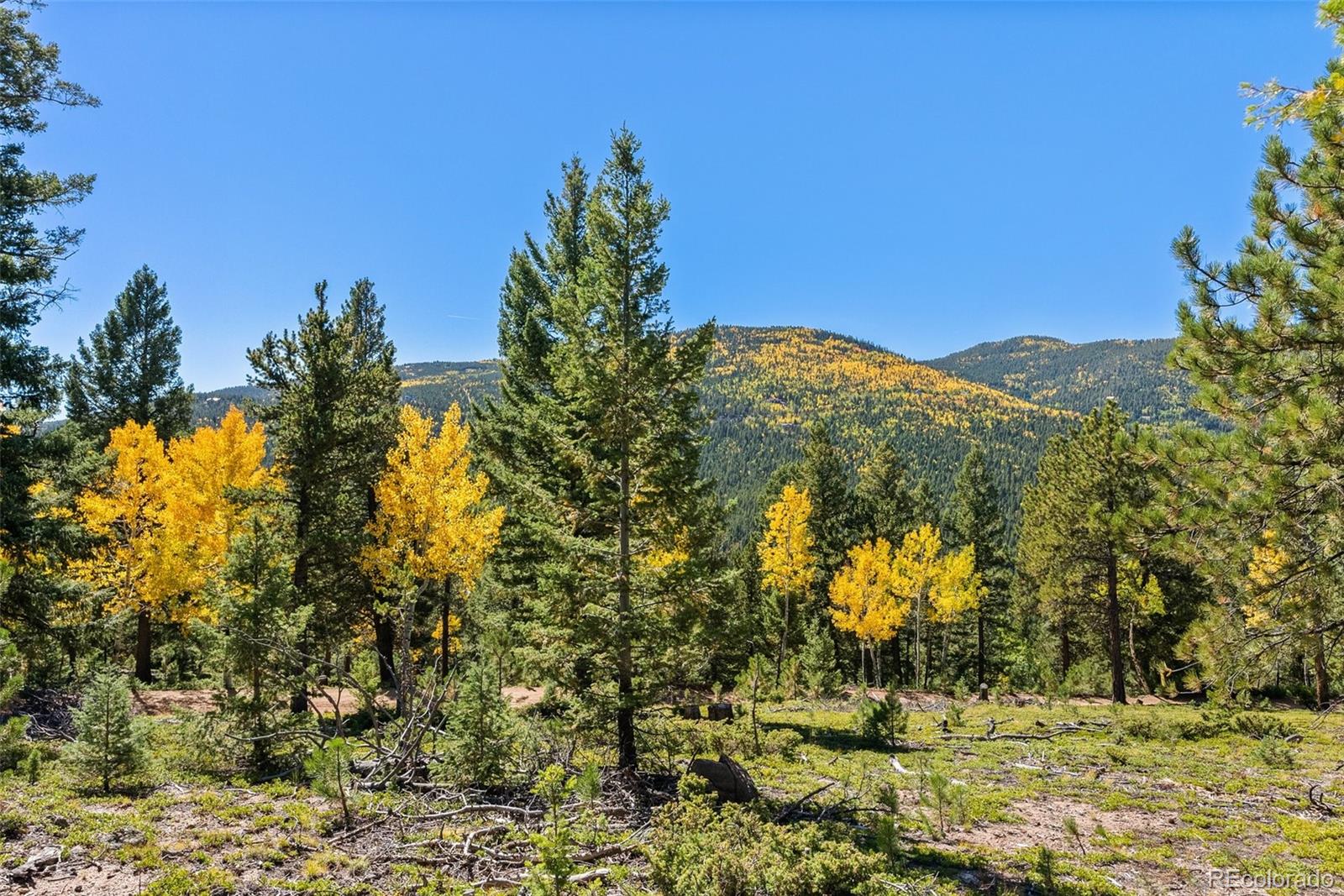 30854 Forest Shadow Trail Conifer CO 80433