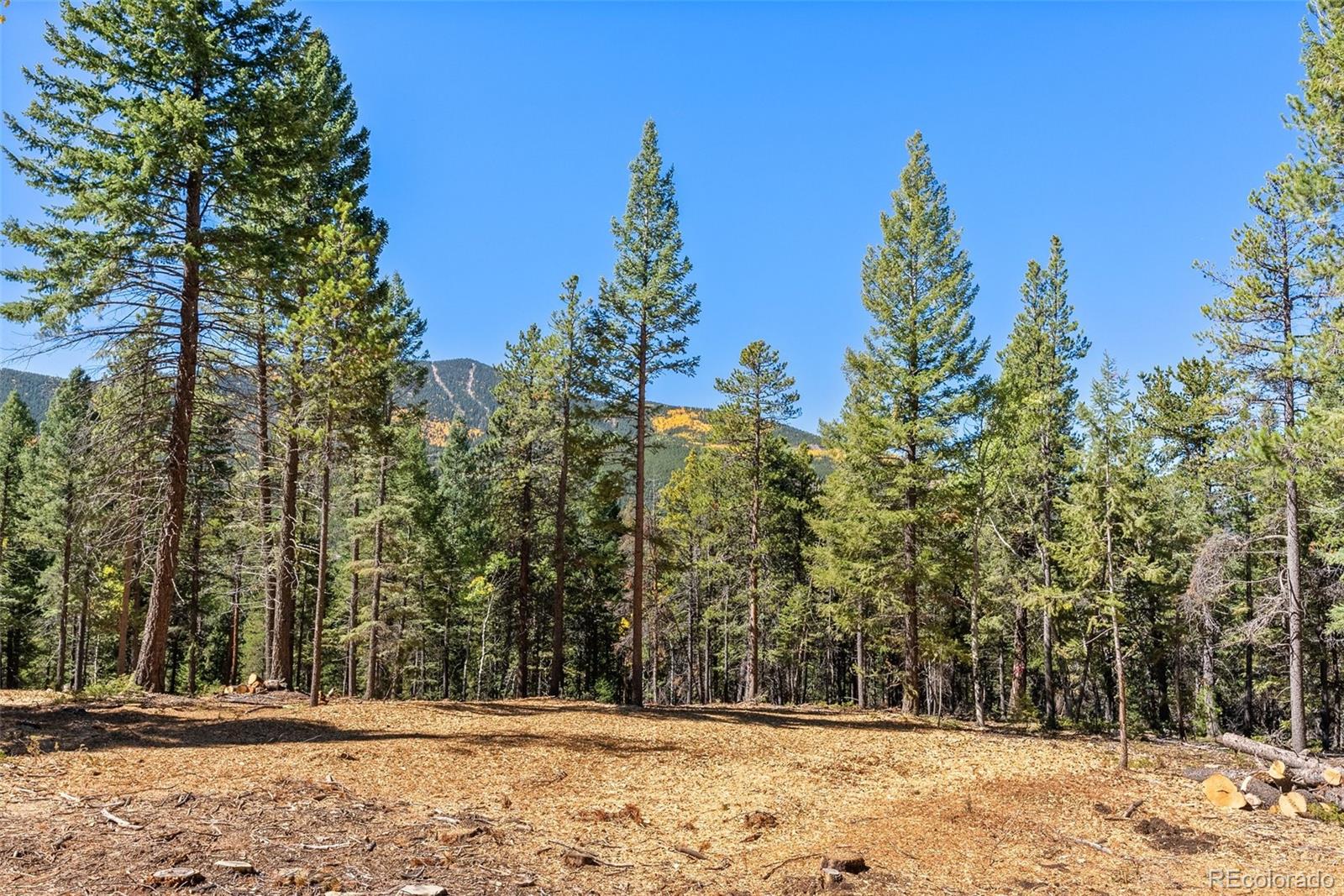 30854 Forest Shadow Trail Conifer CO 80433