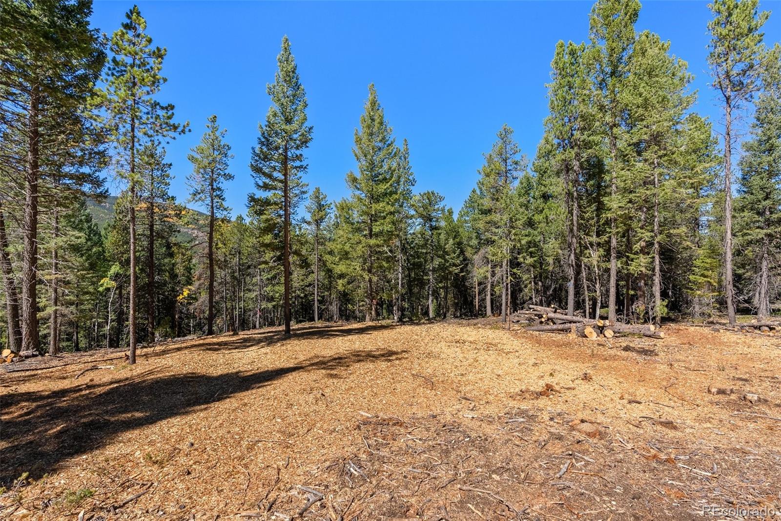 30854 Forest Shadow Trail Conifer CO 80433