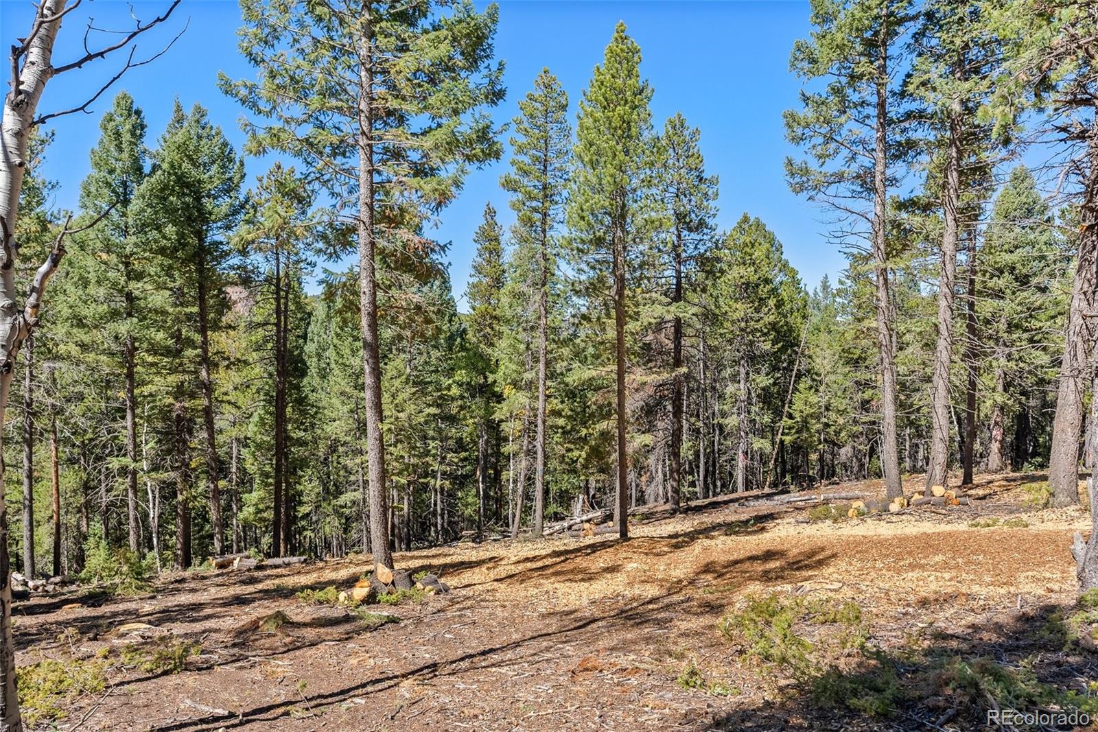 30854 Forest Shadow Trail Conifer CO 80433