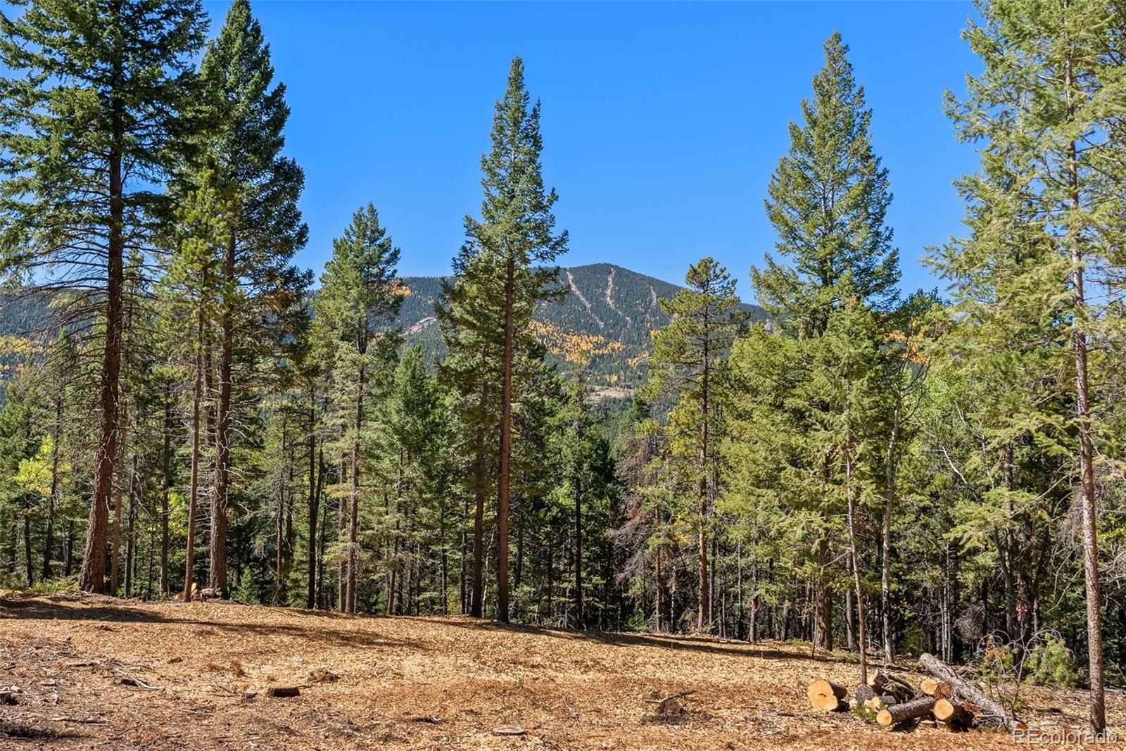 30854 Forest Shadow Trail Conifer CO 80433