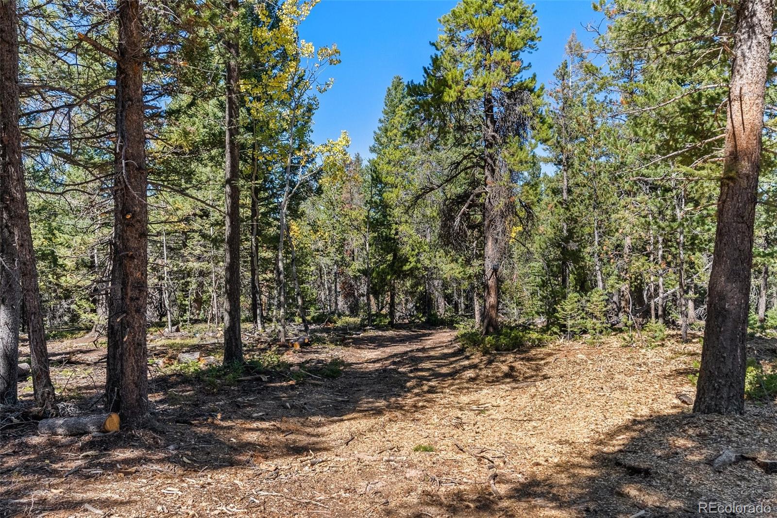 30854 Forest Shadow Trail Conifer CO 80433
