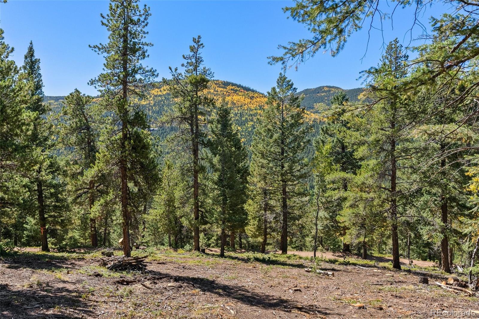 30854 Forest Shadow Trail Conifer CO 80433