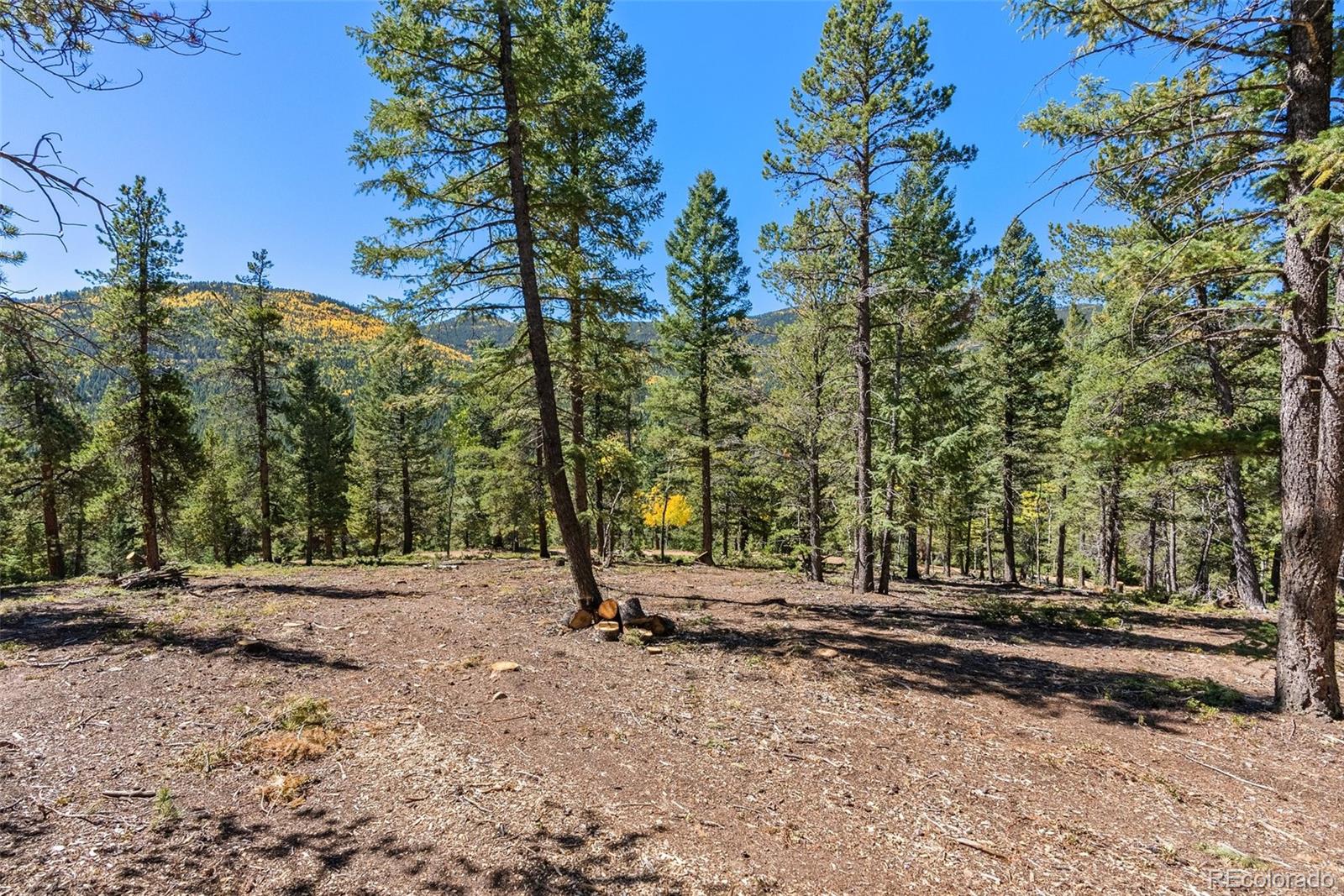 30854 Forest Shadow Trail Conifer CO 80433
