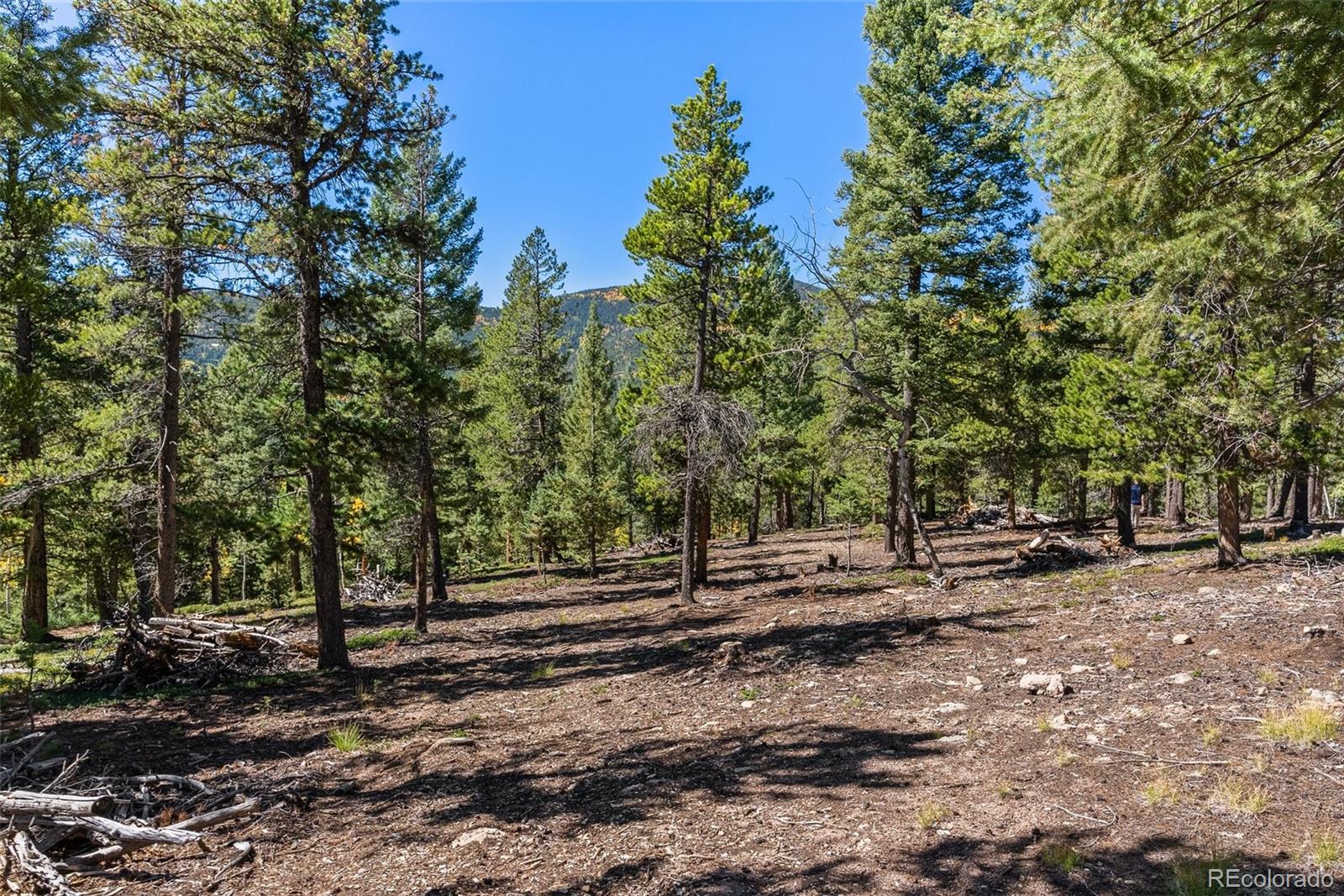 30854 Forest Shadow Trail Conifer CO 80433