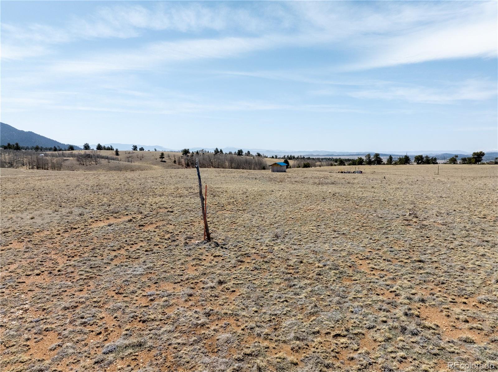 3365 Ute Trace Hartsel CO 80449