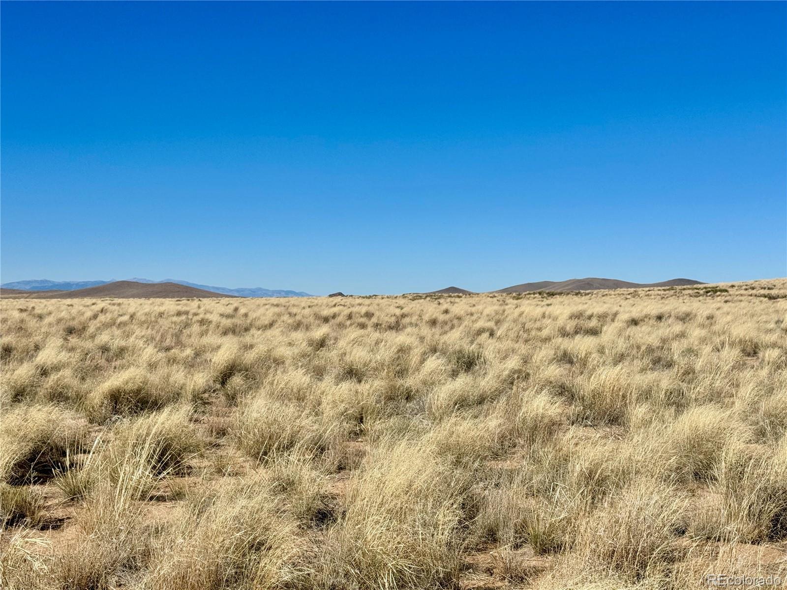 Lot 7 Aster Avenue Blanca CO 81123