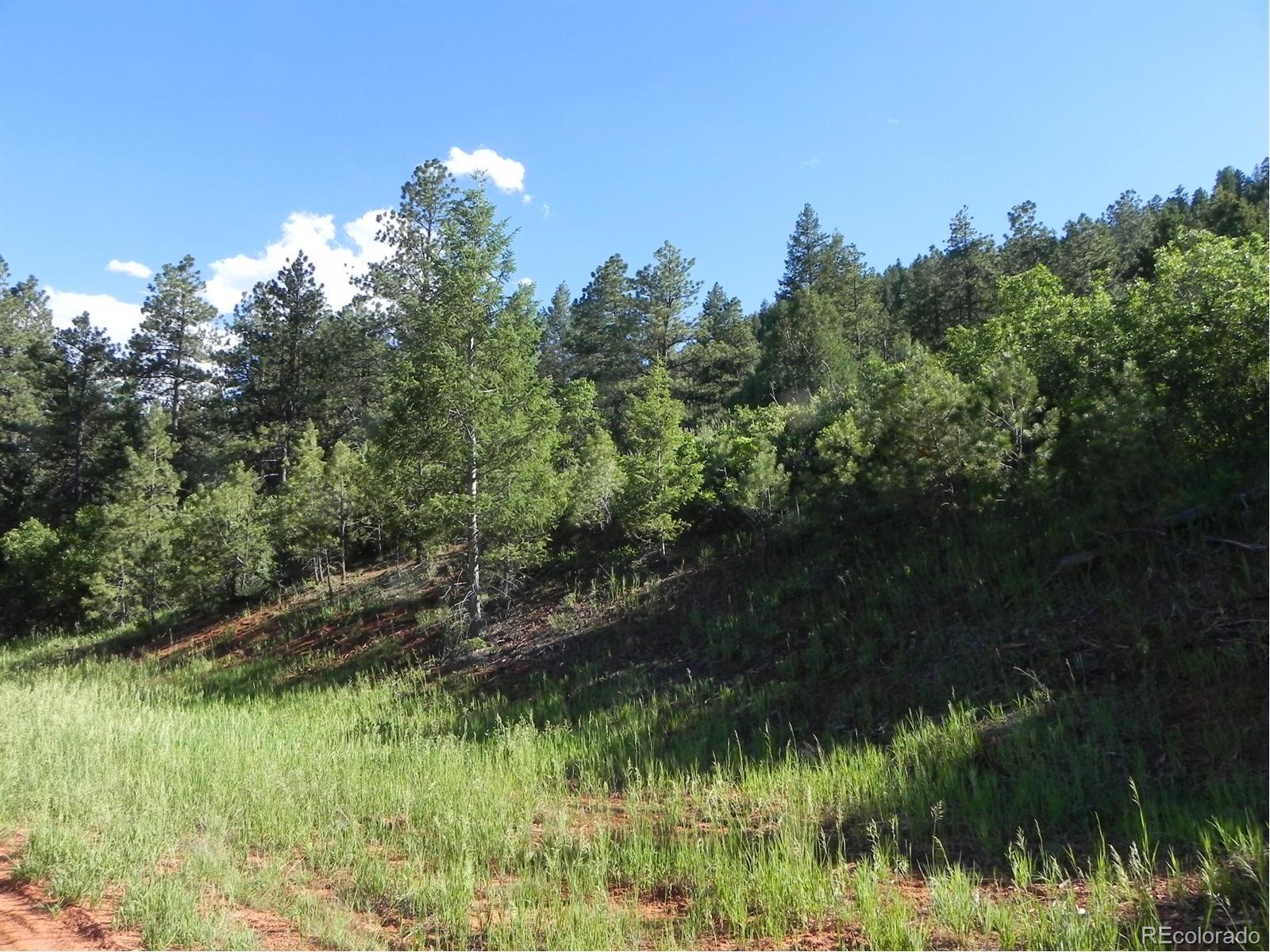 8117 Acoma Drive Larkspur CO 80118