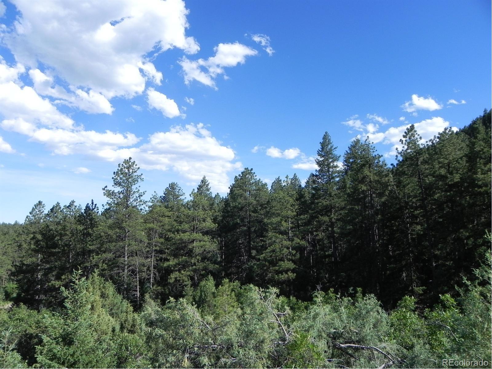 8117 Acoma Drive Larkspur CO 80118