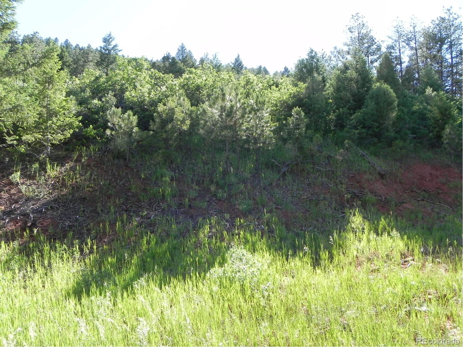 8117 Acoma Drive Larkspur CO 80118