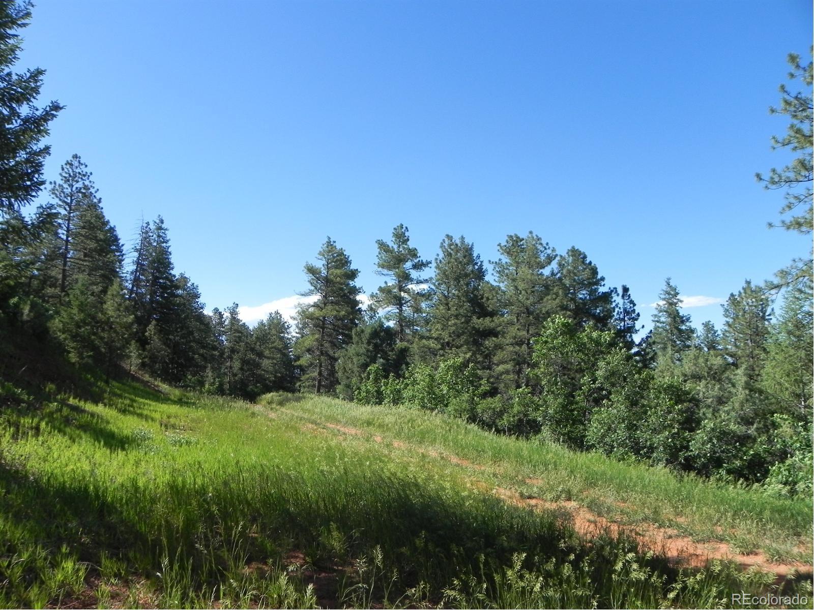 8117 Acoma Drive Larkspur CO 80118