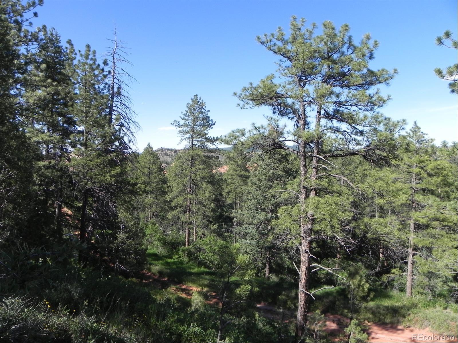 8117 Acoma Drive Larkspur CO 80118