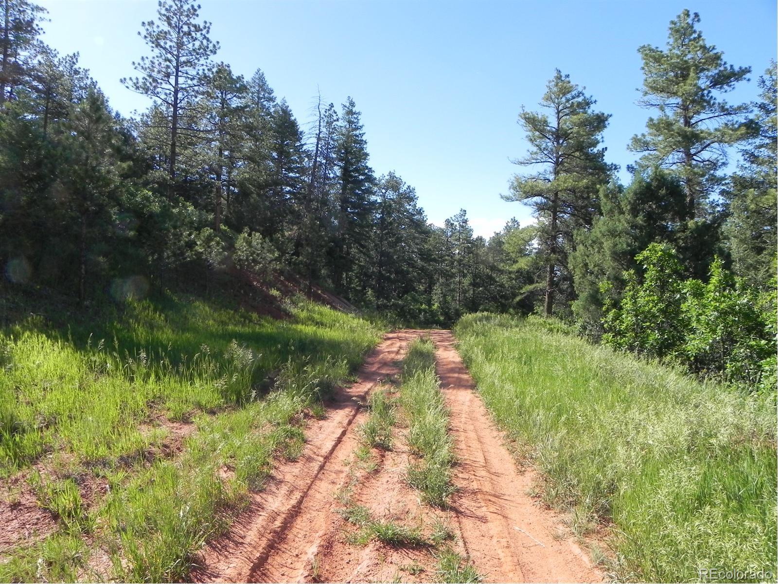 8117 Acoma Drive Larkspur CO 80118