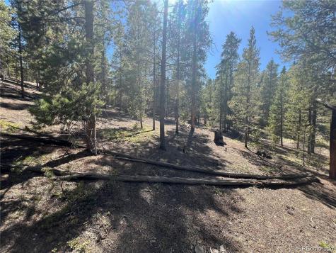 123 Lodgepole Drive Leadville CO 80461