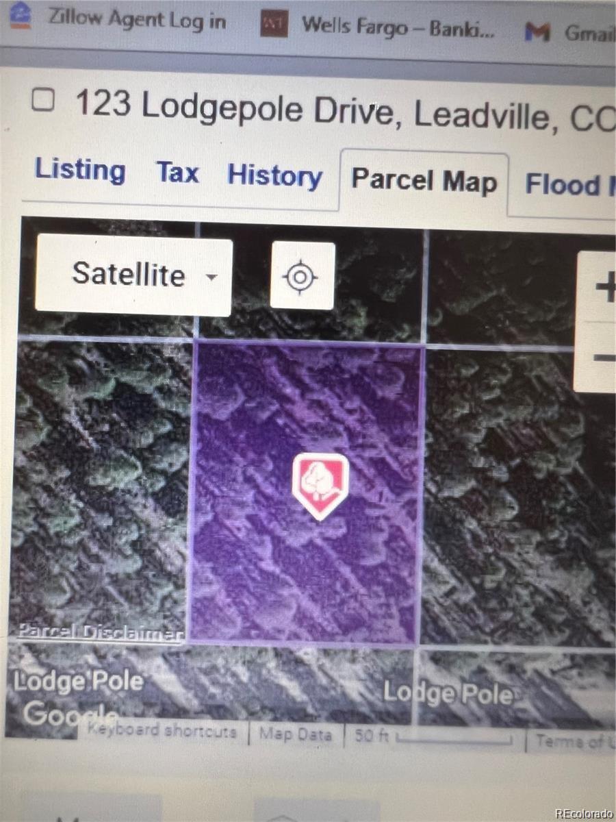 123 Lodgepole Drive Leadville CO 80461