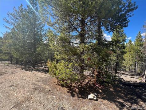 123 Lodgepole Drive Leadville CO 80461