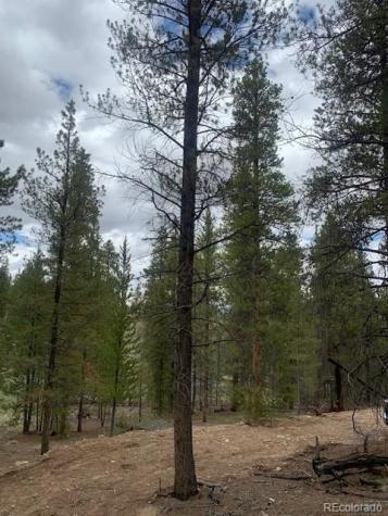 123 Lodgepole Drive Leadville CO 80461