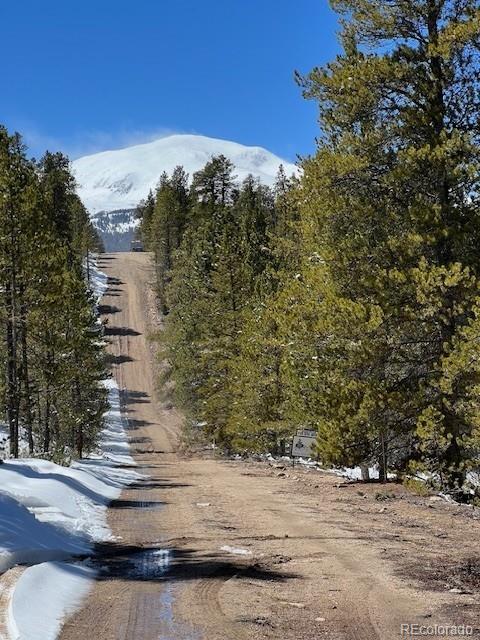 123 Lodgepole Drive Leadville CO 80461