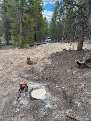 123 Lodgepole Drive Leadville CO 80461