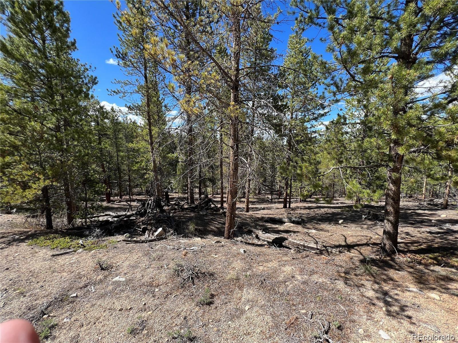 123 Lodgepole Drive Leadville CO 80461