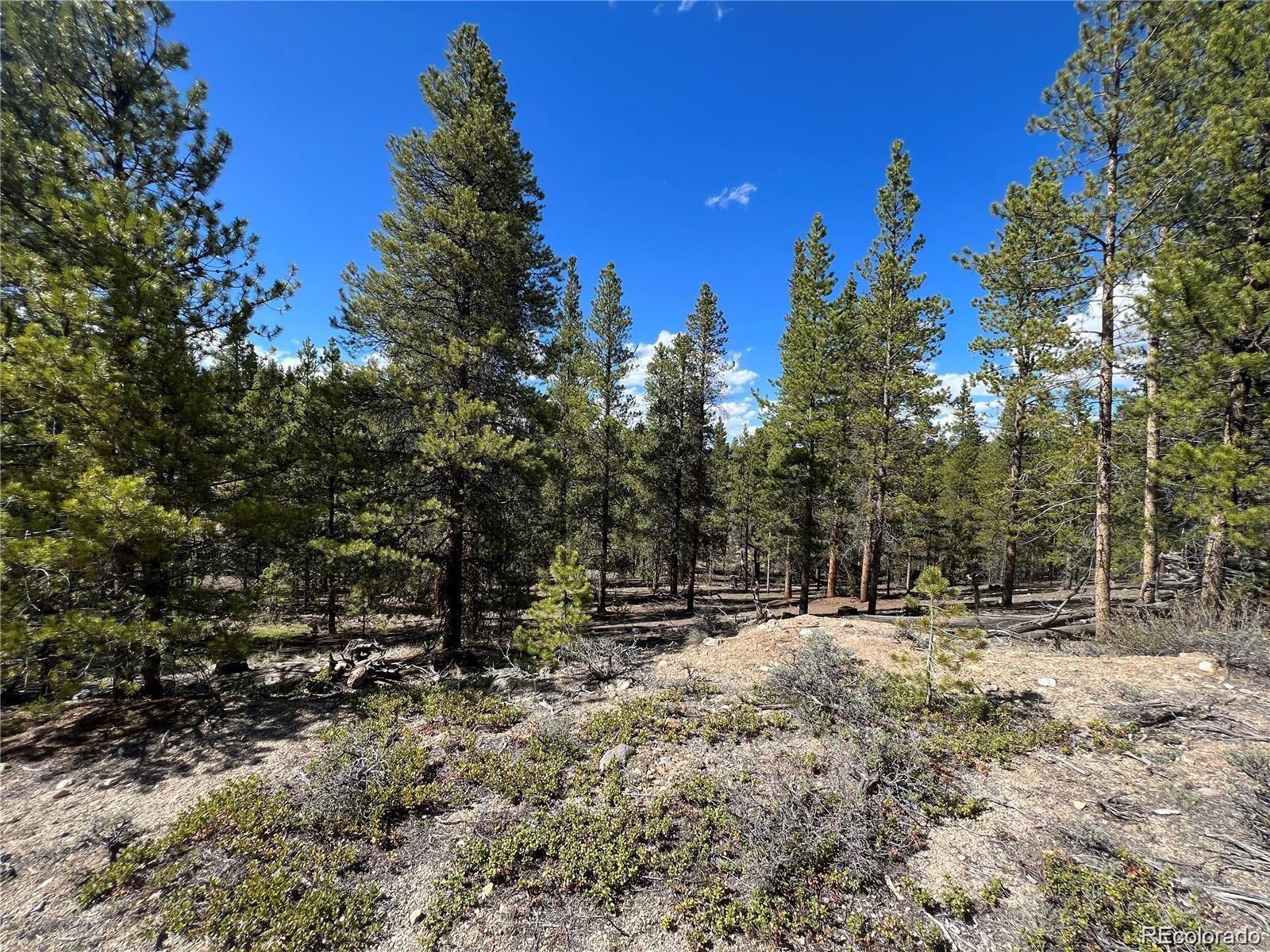 123 Lodgepole Drive Leadville CO 80461