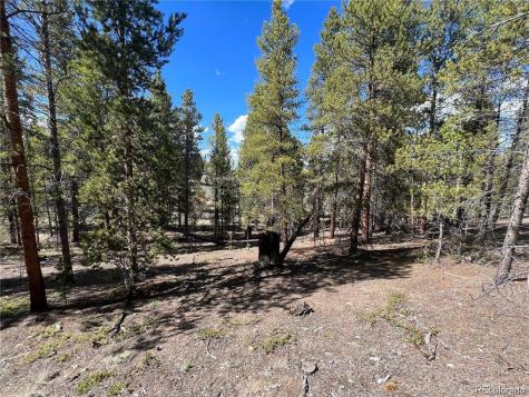 123 Lodgepole Drive Leadville CO 80461