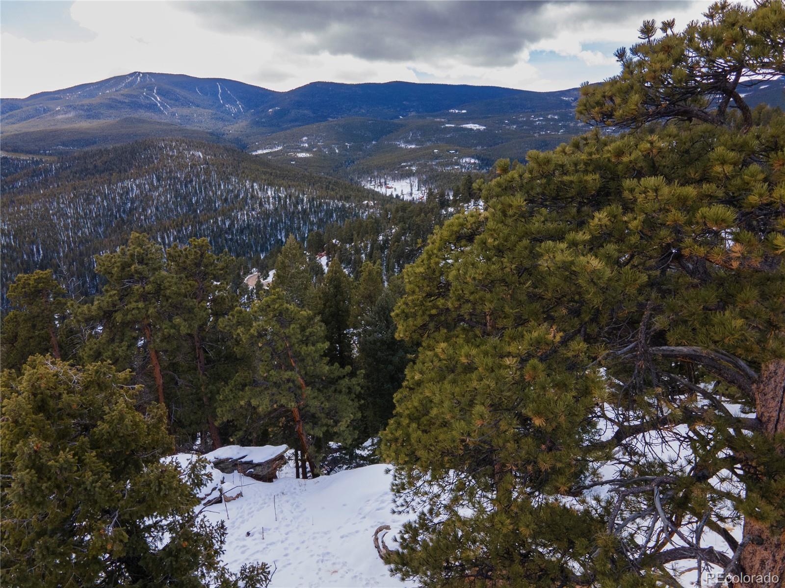 32613 Lodgepole Circle Evergreen CO 80439