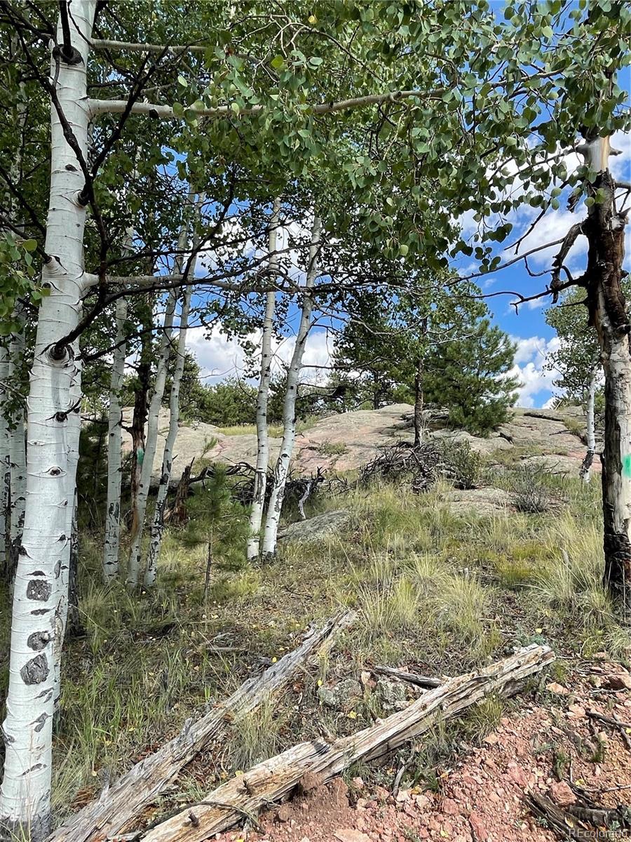 330 Arrowhead Drive Florissant CO 80816