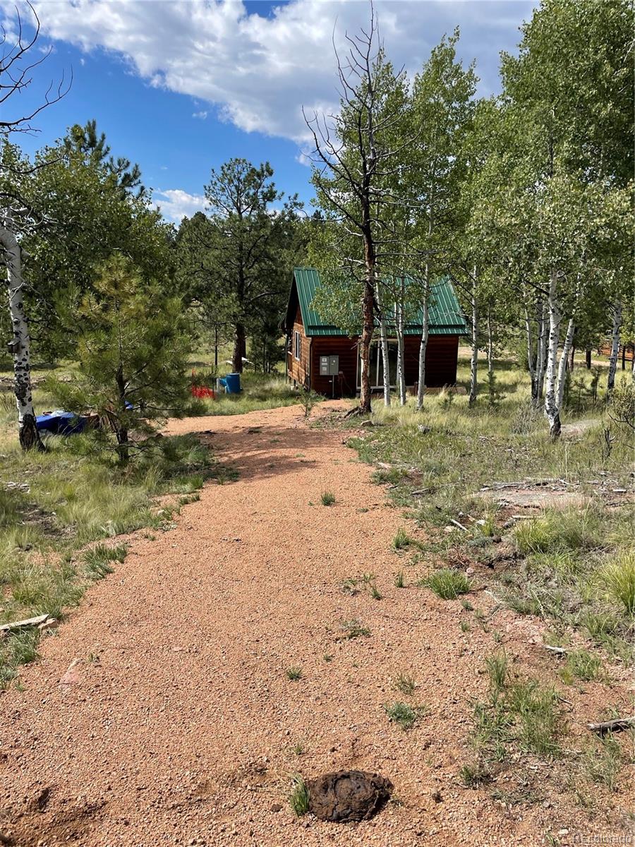 330 Arrowhead Drive Florissant CO 80816