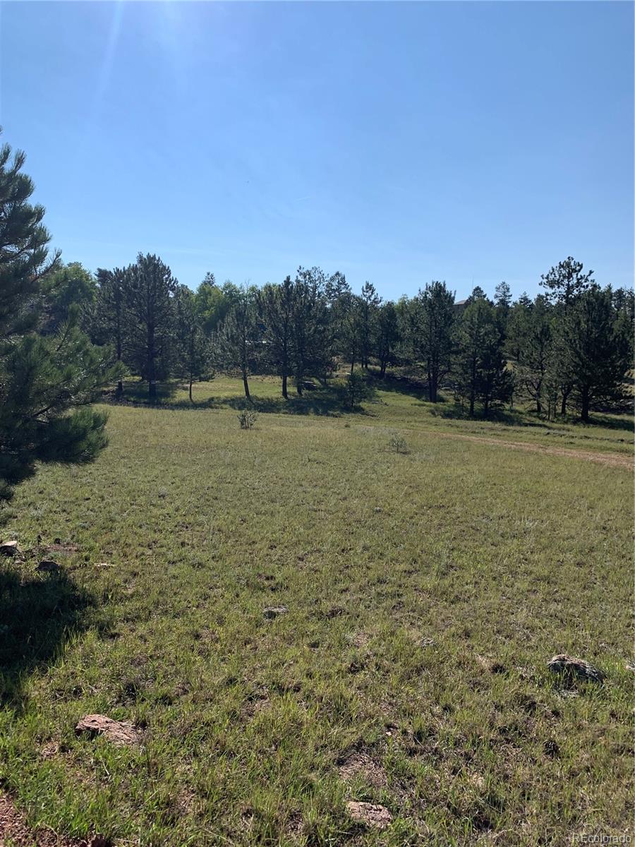 330 Arrowhead Drive Florissant CO 80816