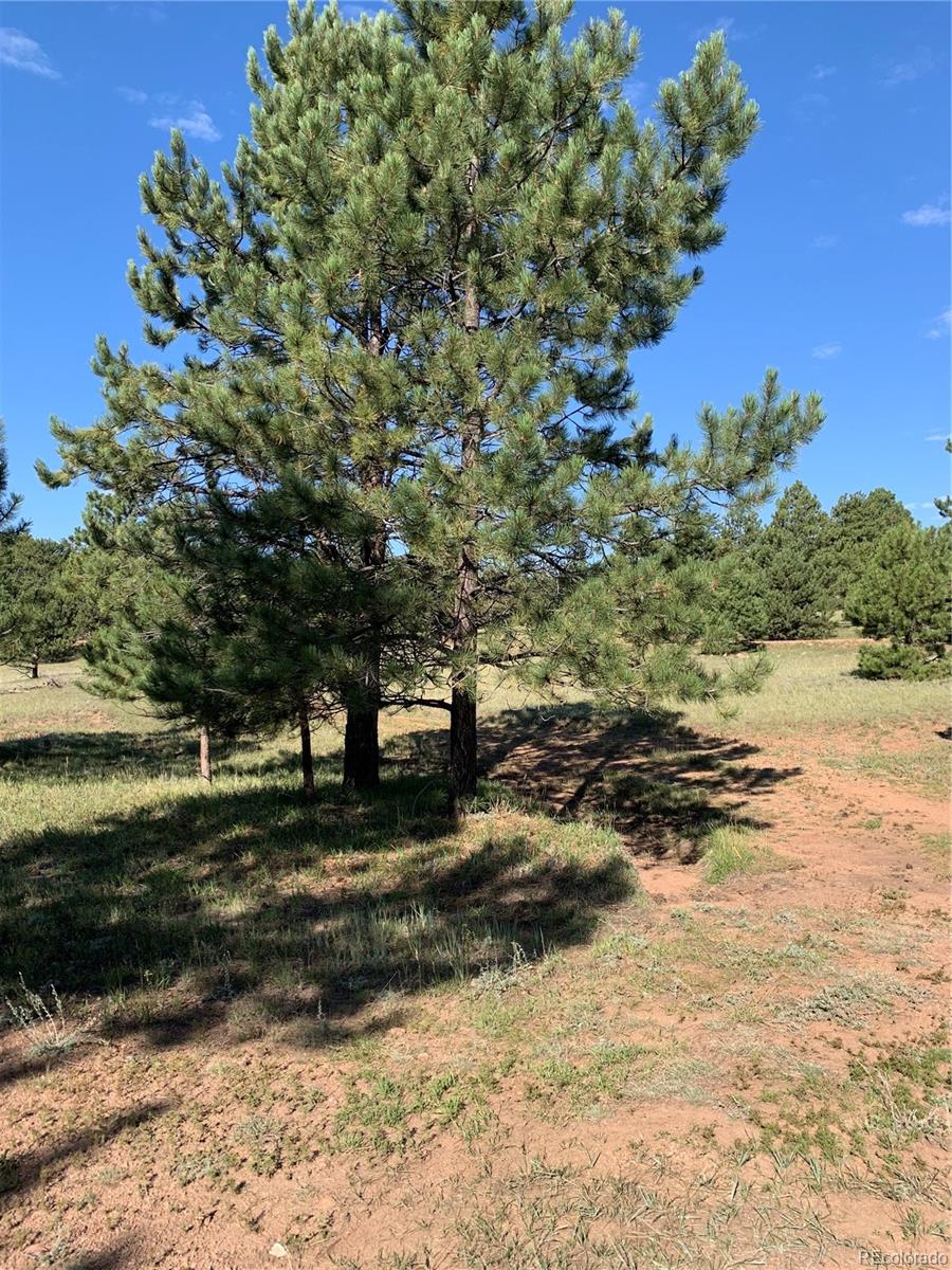 330 Arrowhead Drive Florissant CO 80816