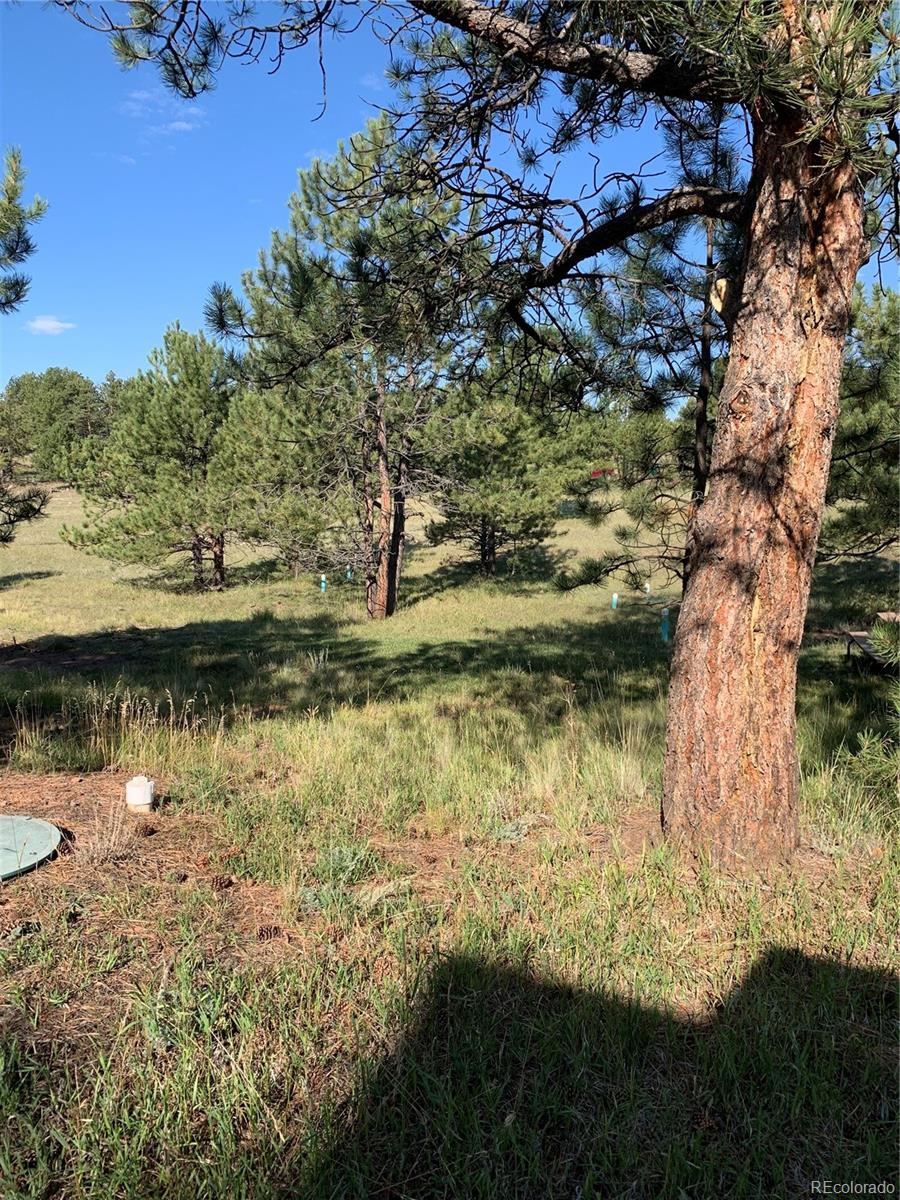 330 Arrowhead Drive Florissant CO 80816