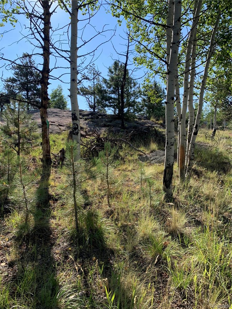 330 Arrowhead Drive Florissant CO 80816