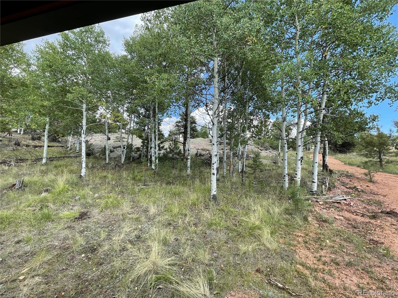 330 Arrowhead Drive Florissant CO 80816
