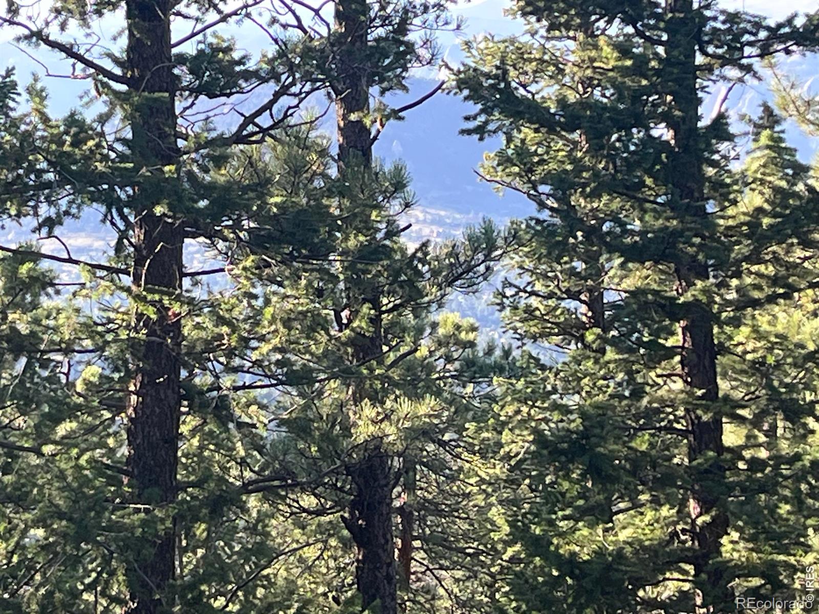 0 Moon Trailway Estes Park CO 80517