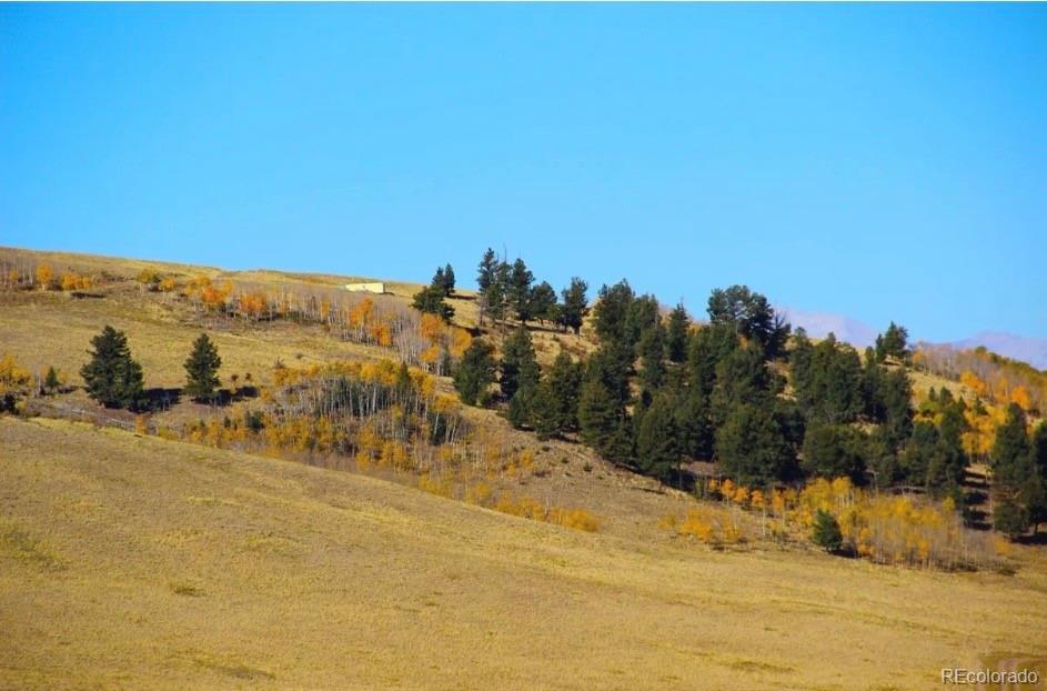 1245 Coochee Trail Guffey CO 80820