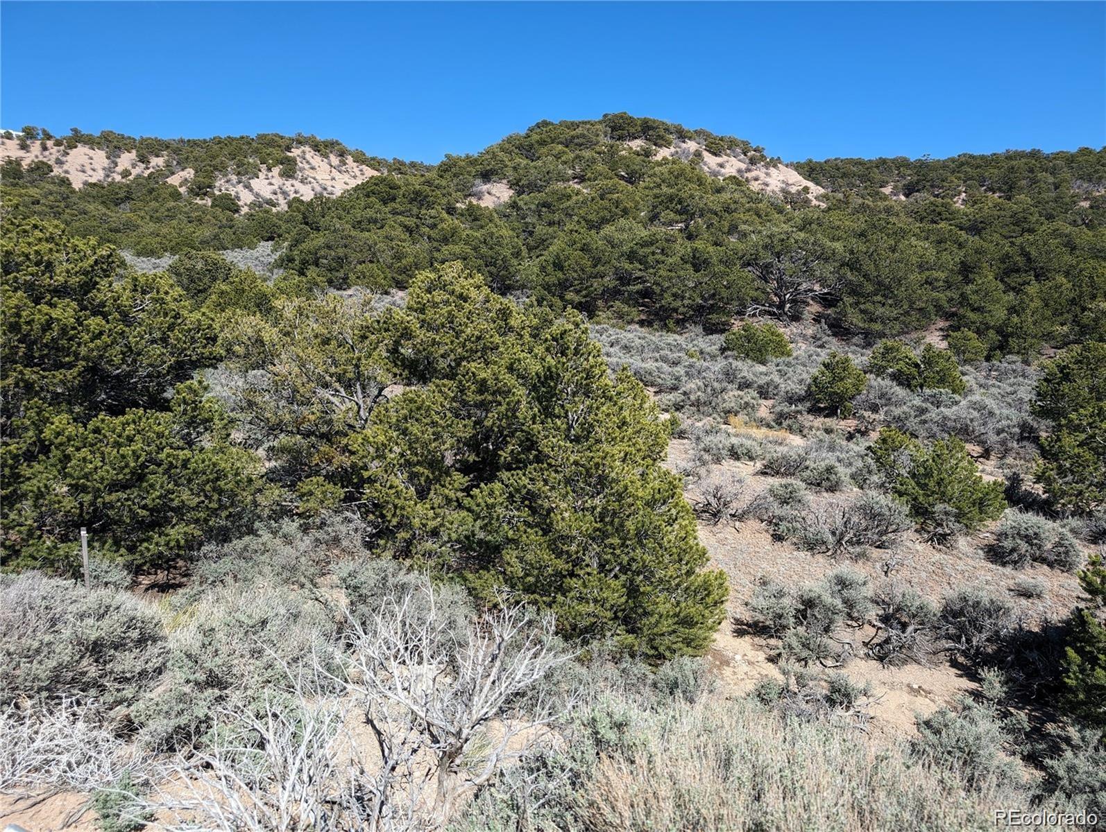Lot 2131 Trujillo Road Fort Garland CO 81133