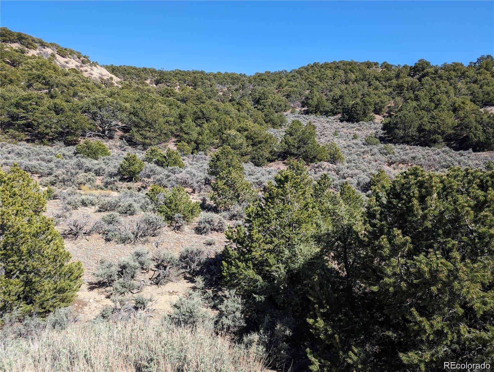 Lot 2131 Trujillo Road Fort Garland CO 81133