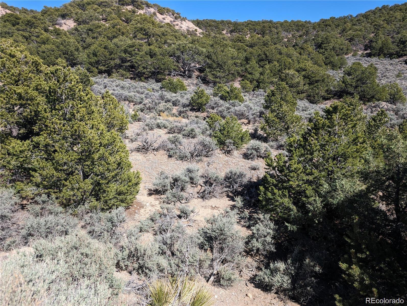 Lot 2131 Trujillo Road Fort Garland CO 81133