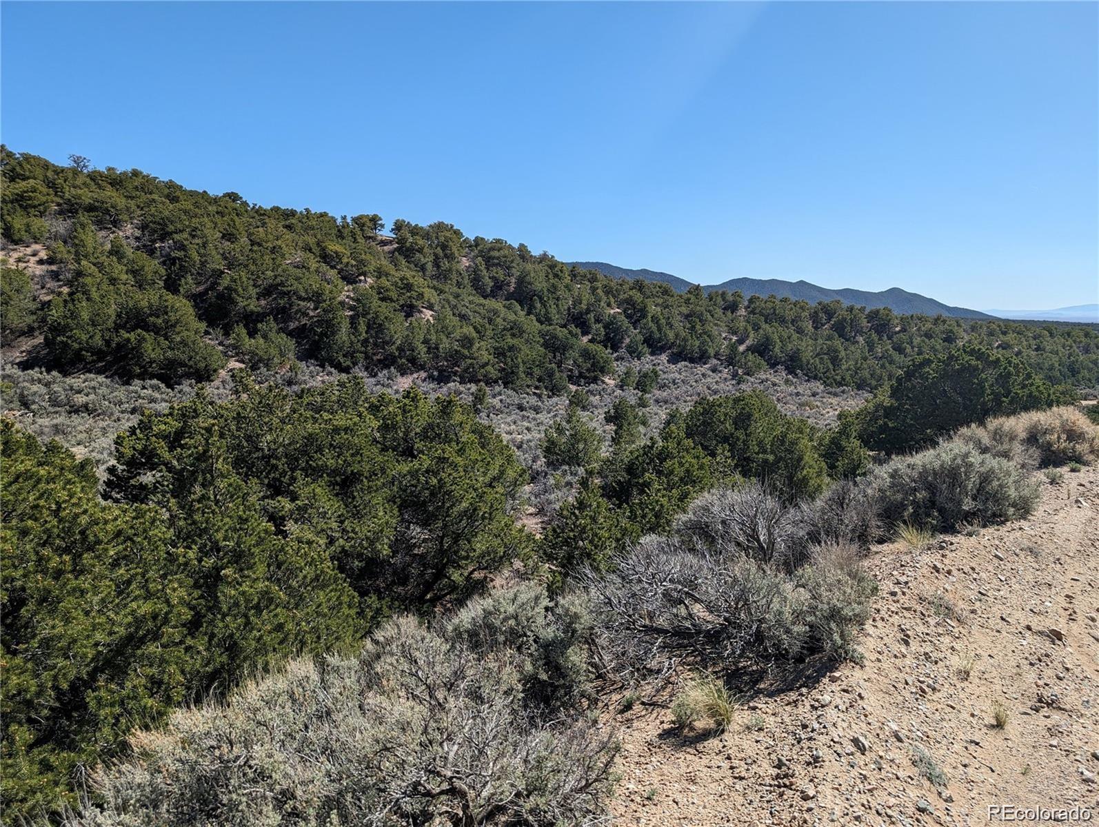 Lot 2131 Trujillo Road Fort Garland CO 81133