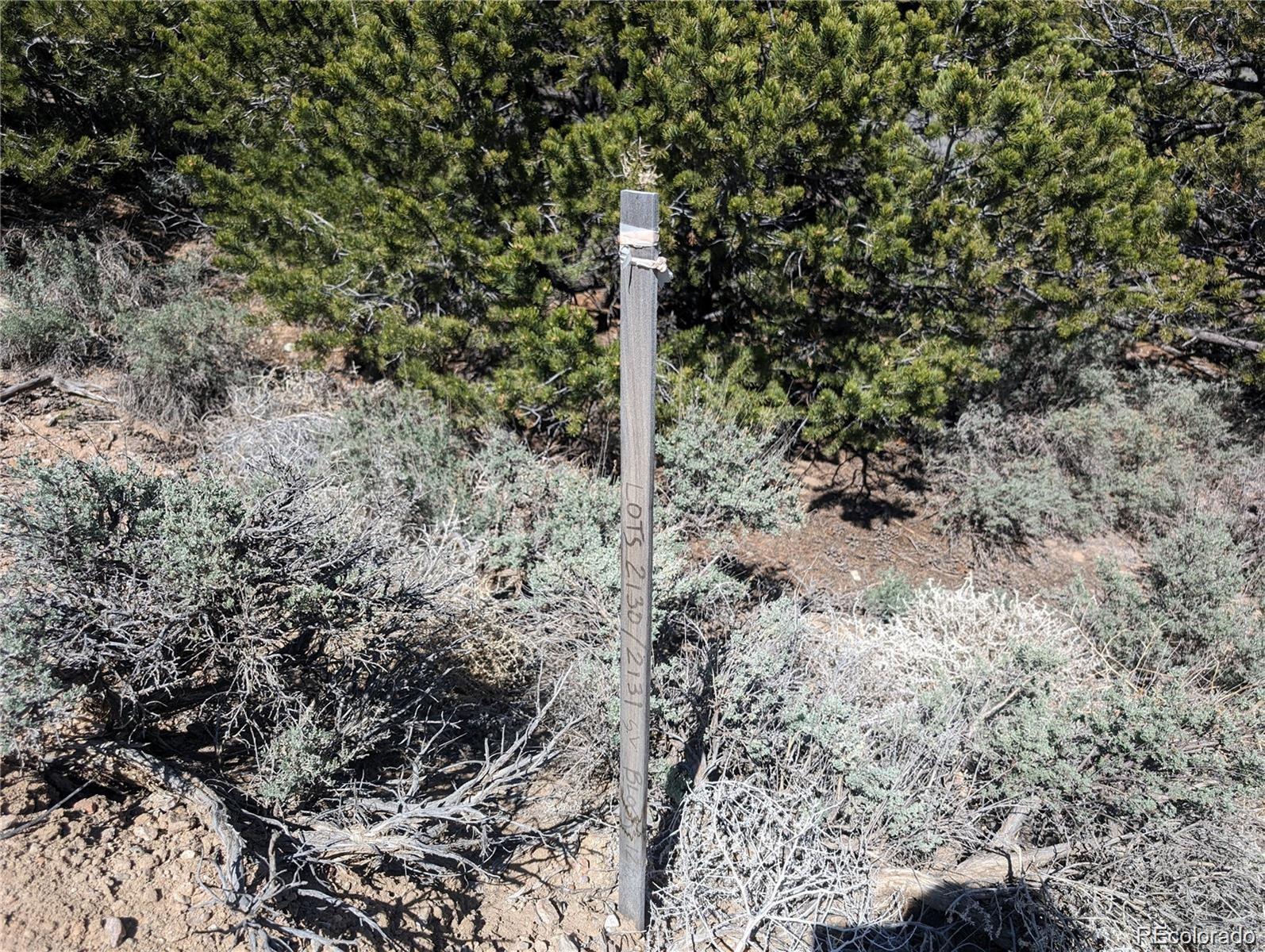Lot 2131 Trujillo Road Fort Garland CO 81133