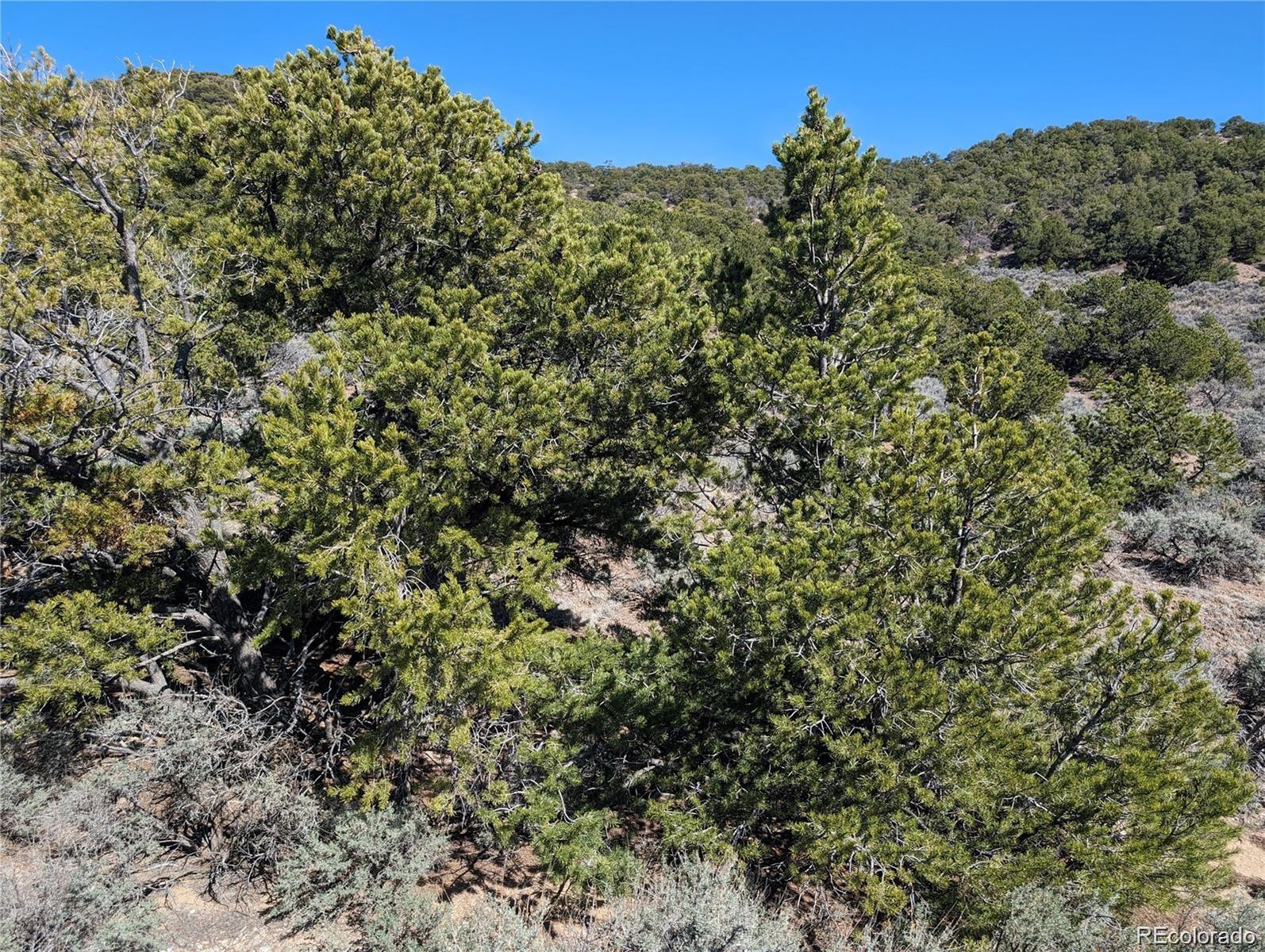 Lot 2131 Trujillo Road Fort Garland CO 81133