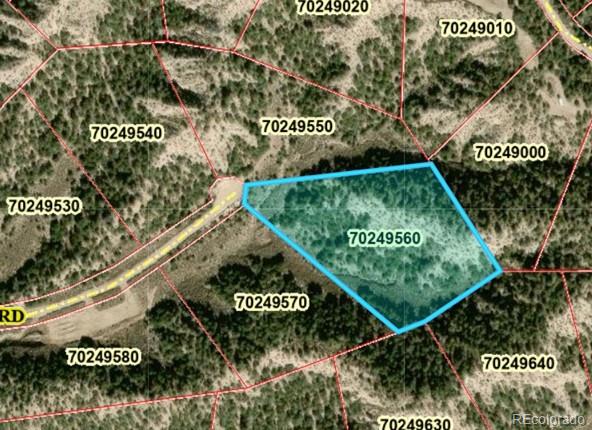 Lot 2131 Trujillo Road Fort Garland CO 81133